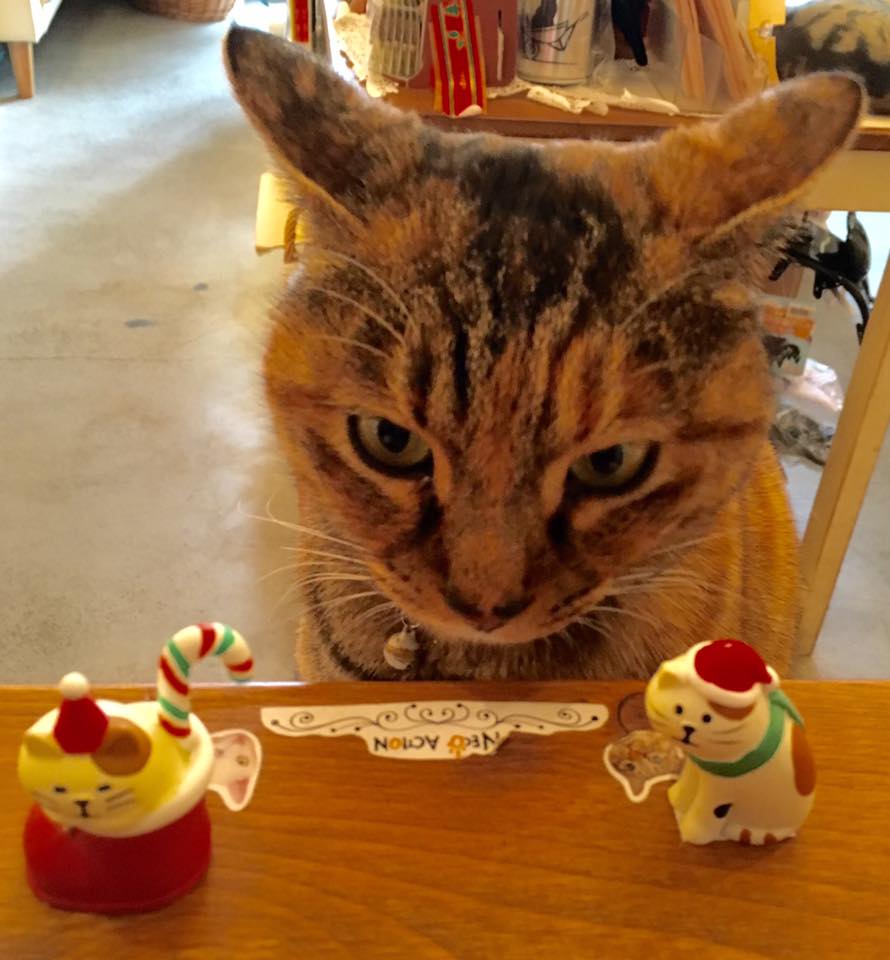 看板猫さん達がいる「猫雑貨 ねこあくしょん」