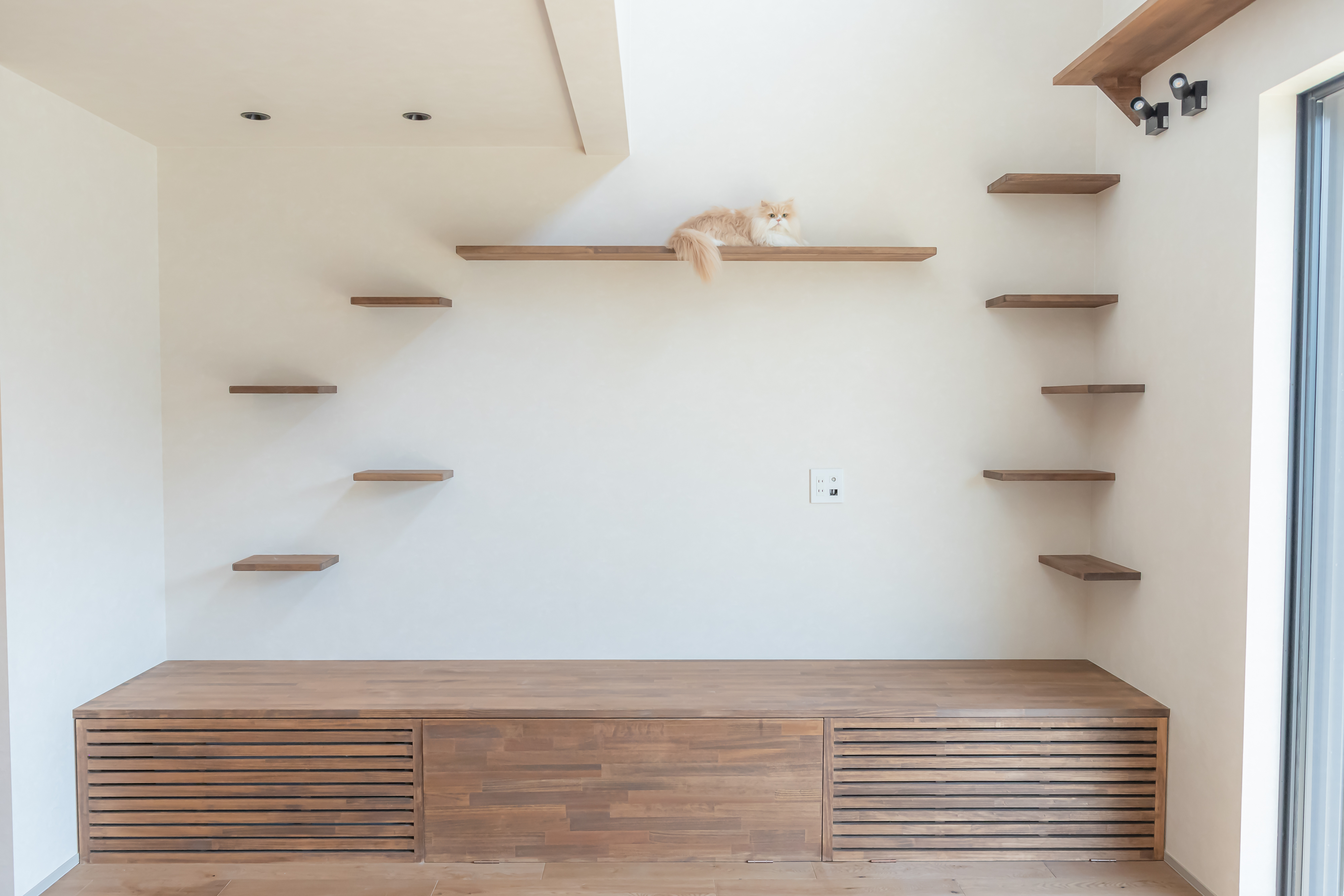 キャットタワーの壁面がある猫に優しい家