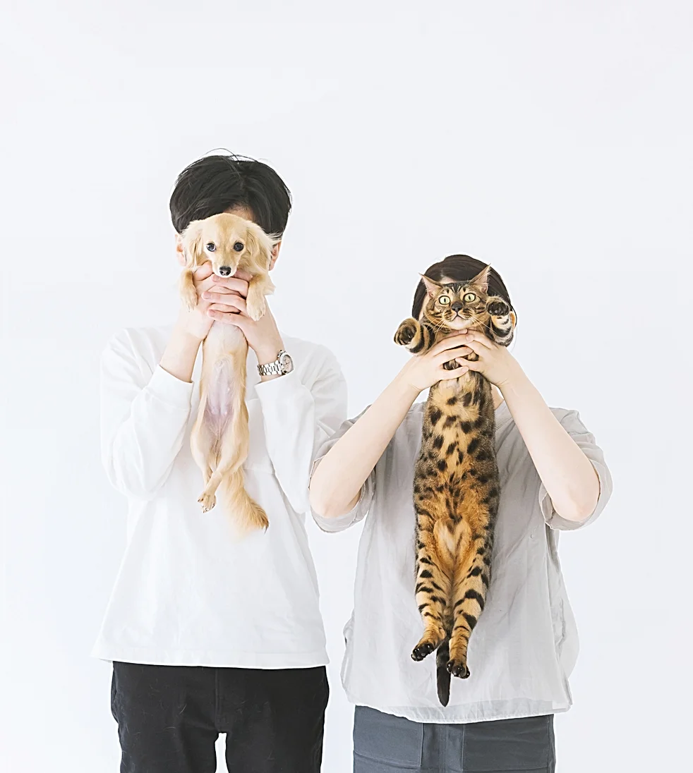 家族と一緒にプランなど5つの撮影プランがある猫と記念写真が撮れるフォトスタジオ「and site」