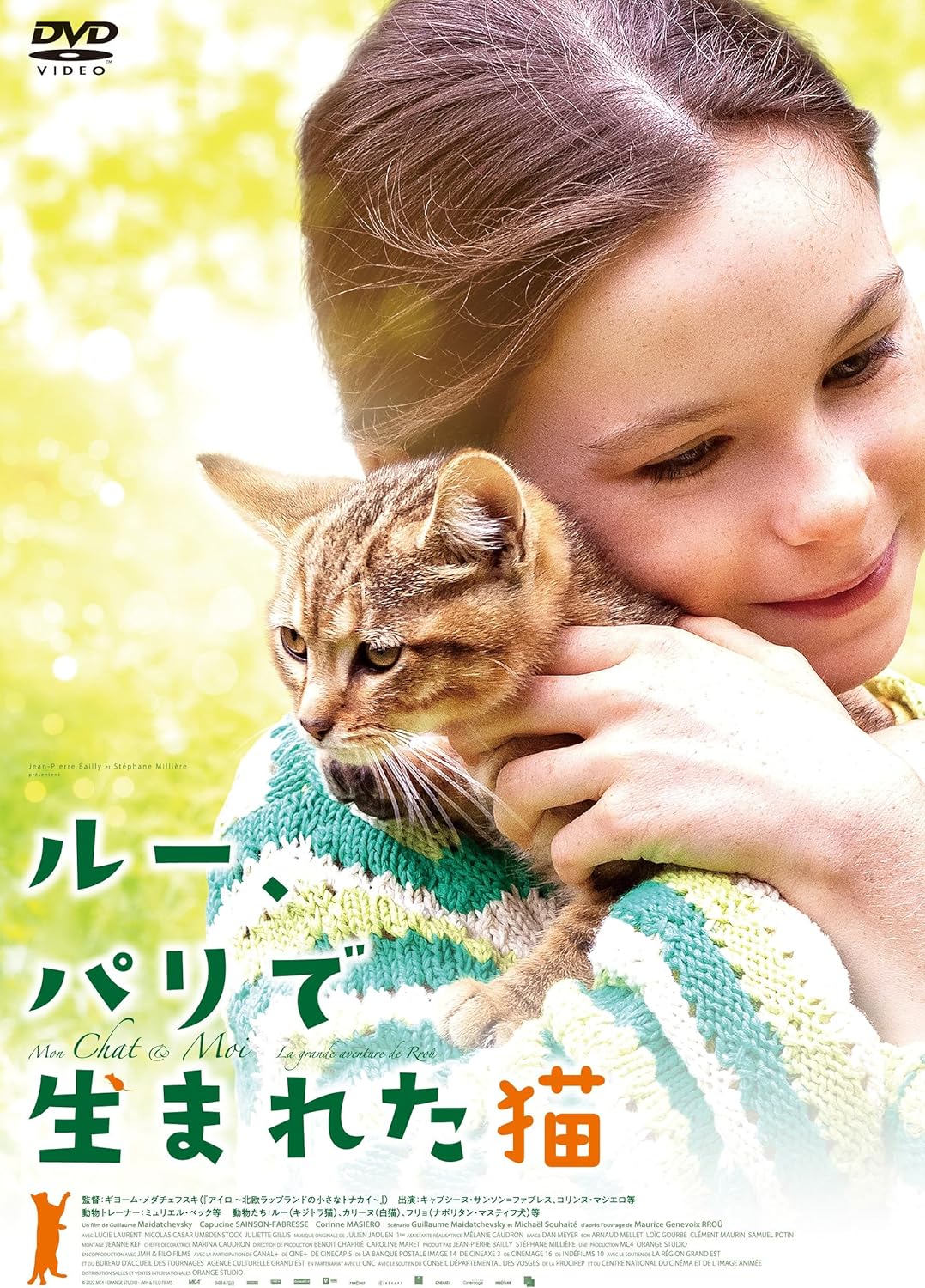 パリを舞台に、愛猫との絆によって現実を乗り越え成長していく少女の姿を描いたドラマ「ルー,パリで生まれた猫」