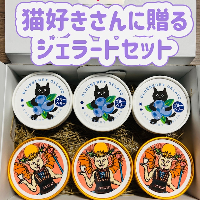 猫好きさんに送るブルーベリージェラート