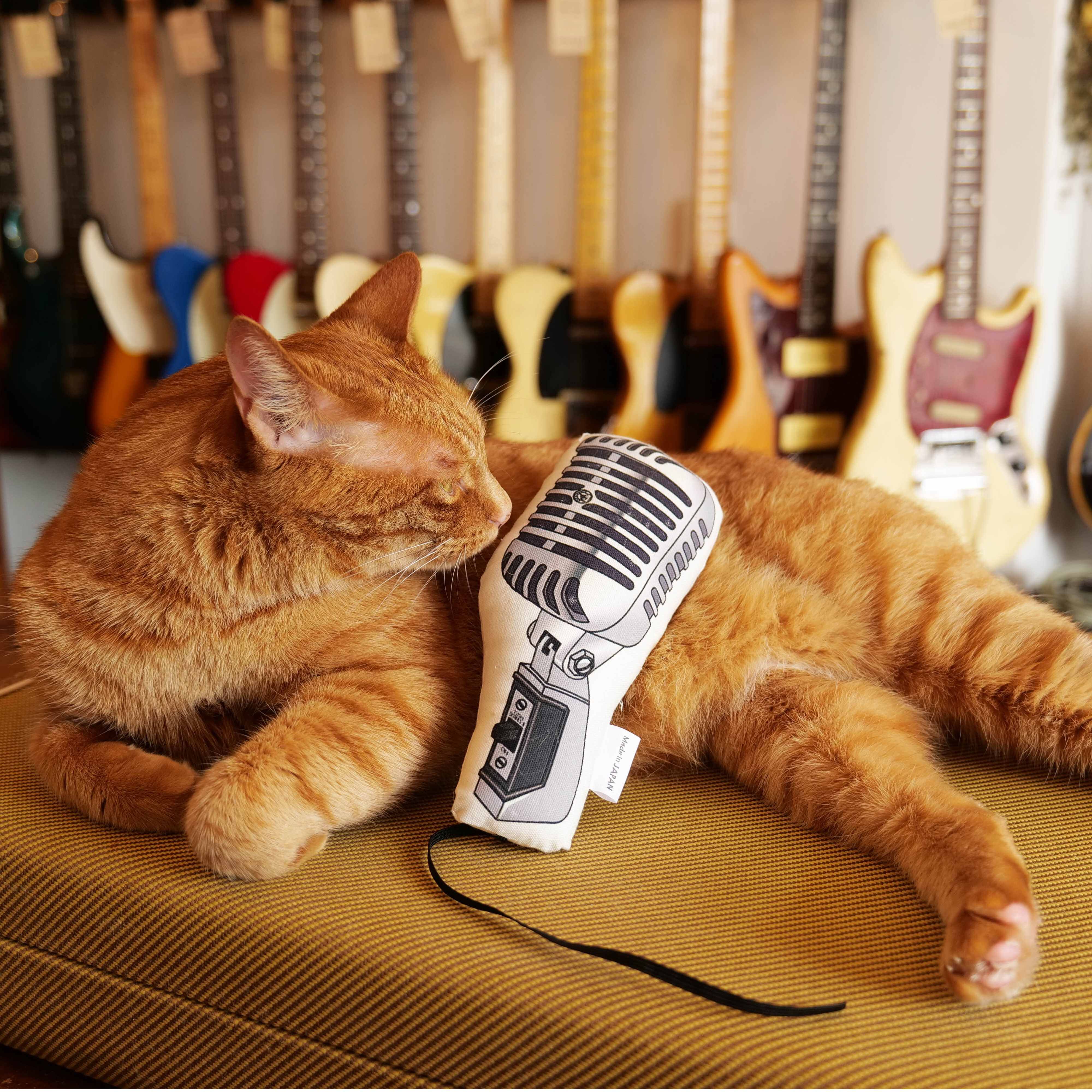 楽器をモチーフにした猫用の蹴りぐるみがお気に入りの猫